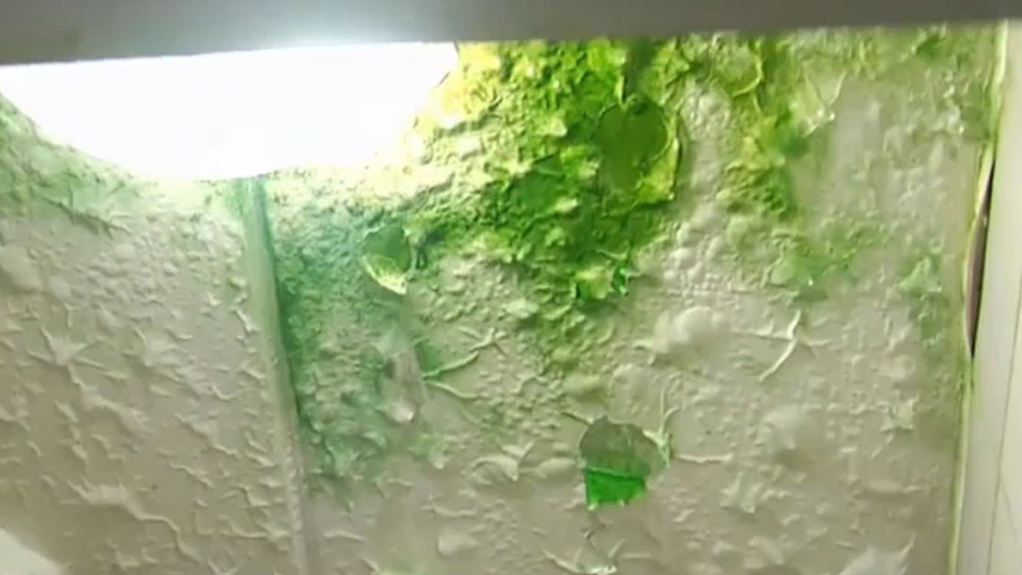 Green mold in one of the bathrooms.