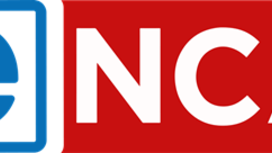 eNCA logo transparent