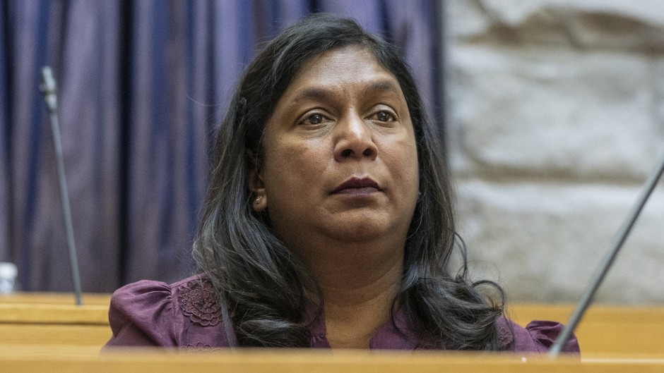 IDAC head Andrea Johnson. Brenton Geach/Gallo Images