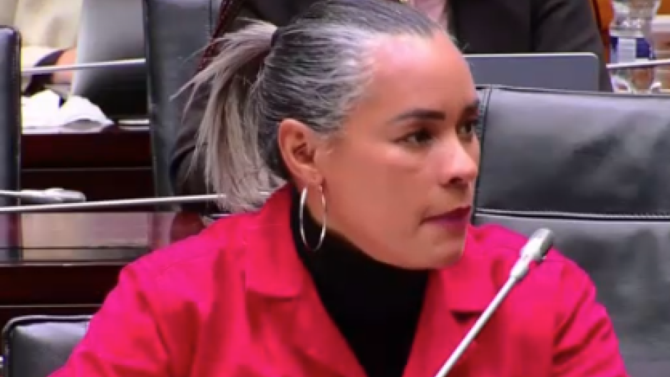 The EFF denies it was the reason Feroz Khan did not appear before Parliament's SAPS ad hoc committee.