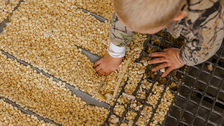 boy playing in grain