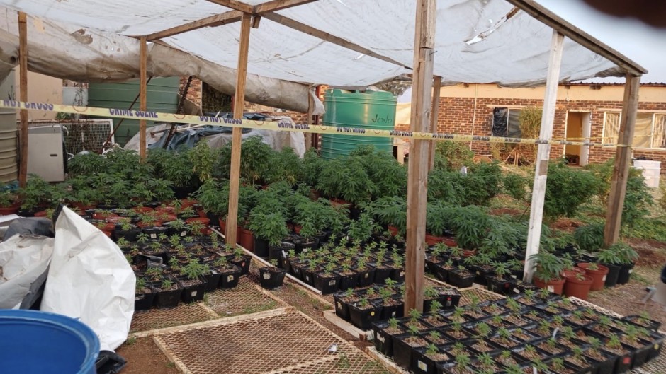 Gauteng police have pounced on a hydroponic dagga-laboratory in De Deur. Supplied