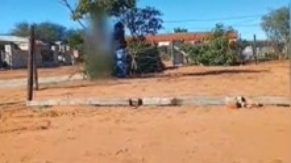 A Western Cape man pleaded guilty to animal cruelty after a video surfaced of him tying his dog, Lion, to a tree and hanging him.