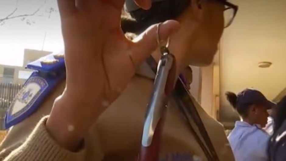 An assortment of weapons, including knives and bullets has been found at schools in Alexandra during a surprise visit by education and police authorities.
