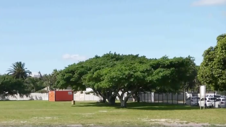 City of Cape Town launches memorial park