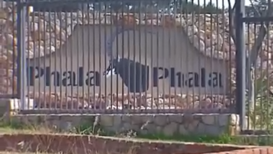 President Cyril Ramaphosa's farm Phala Phala.