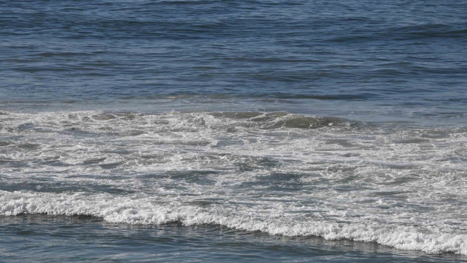 E. coli levels in parts of Knysna Lagoon remain a concern. Lulama Zenzile/Gallo Images
