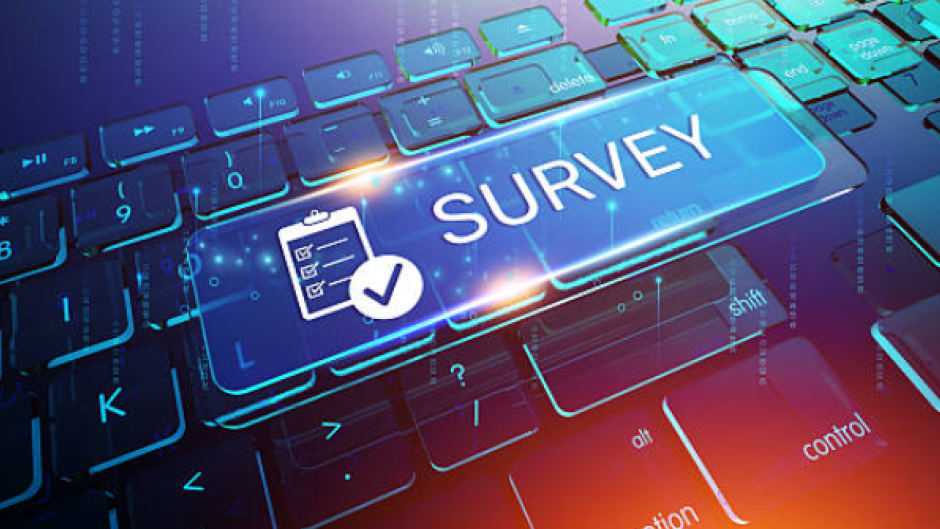 survey 4
