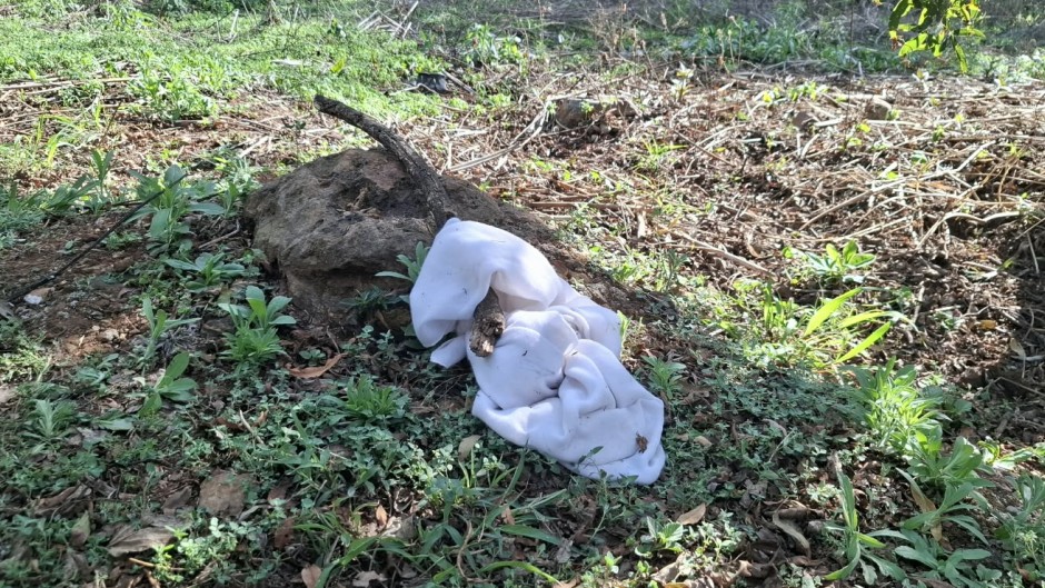 Police are combing an active crime scene in Atteridgeville, searching for a suspect accused of kidnapping a child reportedly raping the mother.