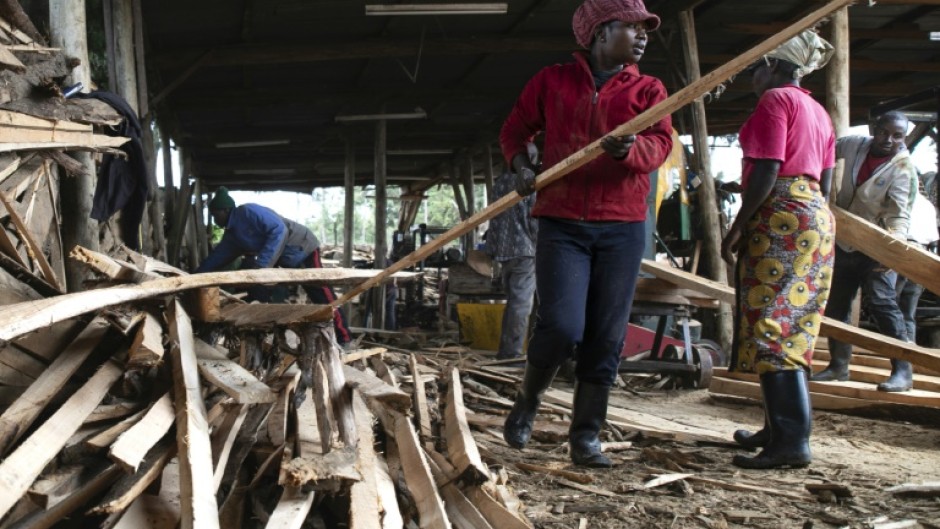 The ban was introduced at a time when Kenya's forests were being cleared at a rate of 5,000 hectares a year