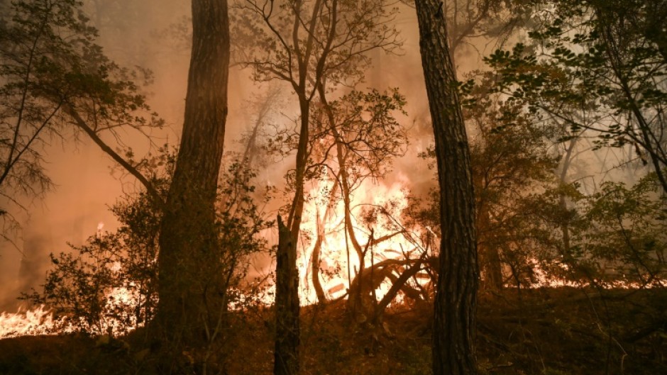 Wildfire, extreme heat and deadly flooding have afflicted large parts of the world this year