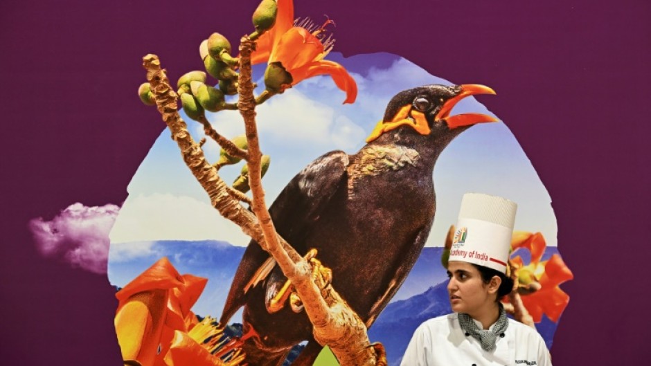 A chef in a venue used for the G20 Leaders' Summit in New Delhi