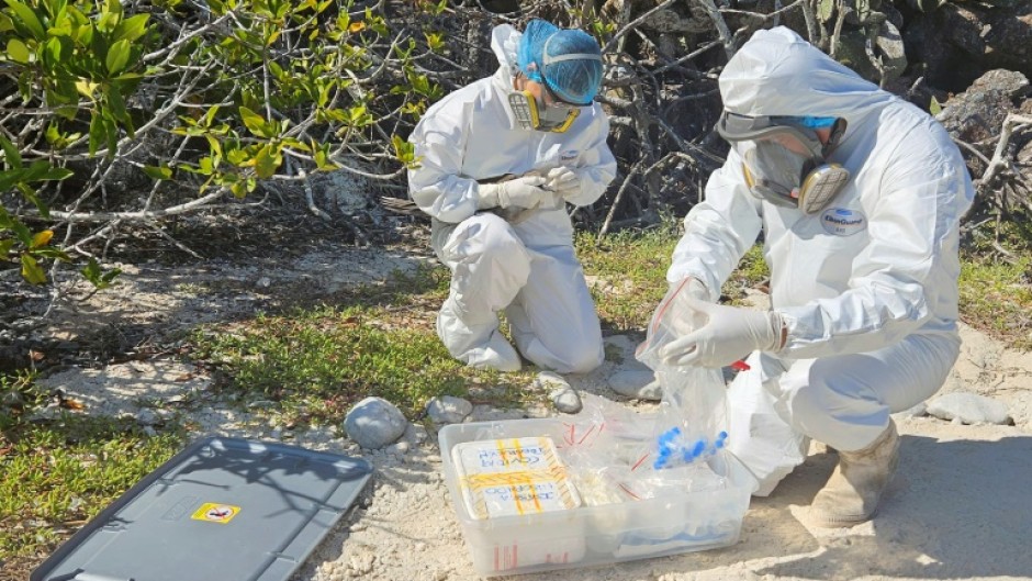 The Galapagos National Park said in a statement that it had picked up three positives for the H5N1 virus, after reports of visibly sick birds on the islands