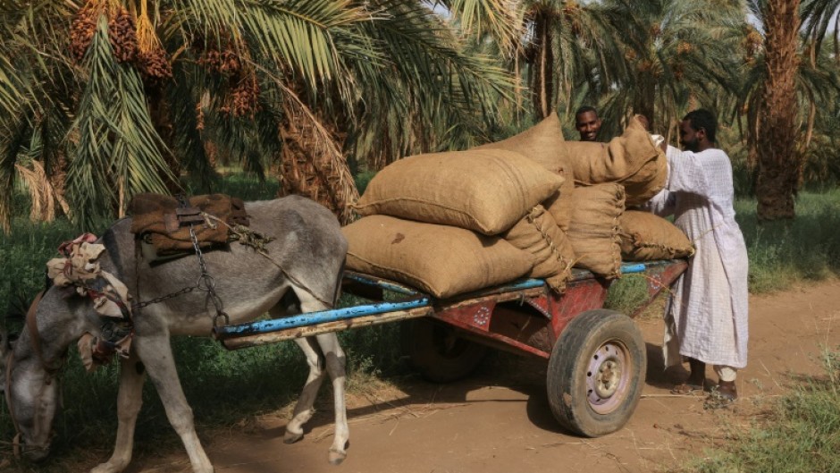 Farmers are among those fleeing Sudan's deadly war and struggling economy