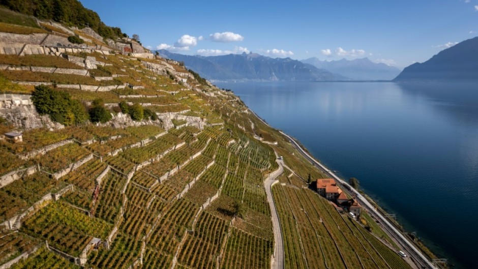 The Lavaux terraced vineyards above Lake Geneva are a UNESCO world heritage site