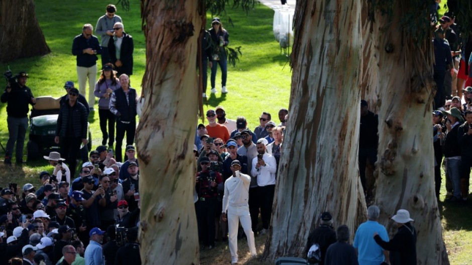 Tiger Woods eyes a tough shot between trees in the first round of the US PGA Tour Genesis Invitational