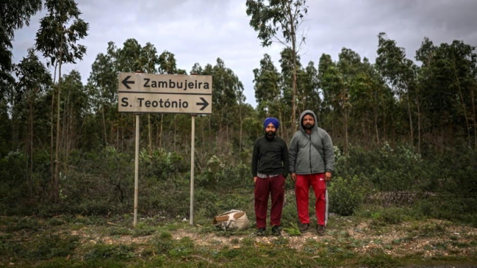 Promised land: Two South Asian farm workers in Sao Teotonio, Portugal
