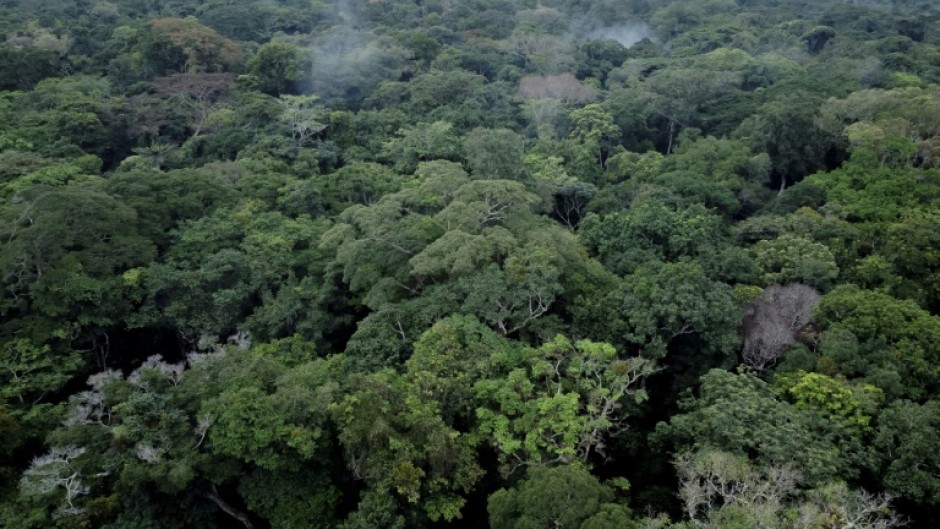 Tropical environments like the Congo Basin boast high carbon storage and low changes in albedo