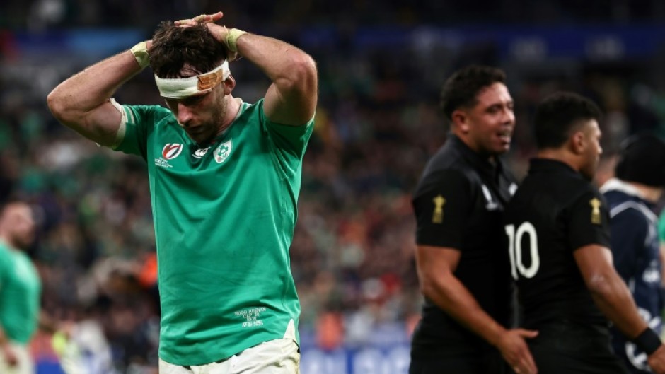 Ireland will face New Zealand in November seeking revenge for a World Cup quarter-final defeat