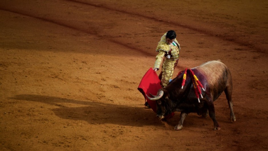 Bullfighting retains a passionate following in some circles in Spain and leading matadors are treated as celebrities