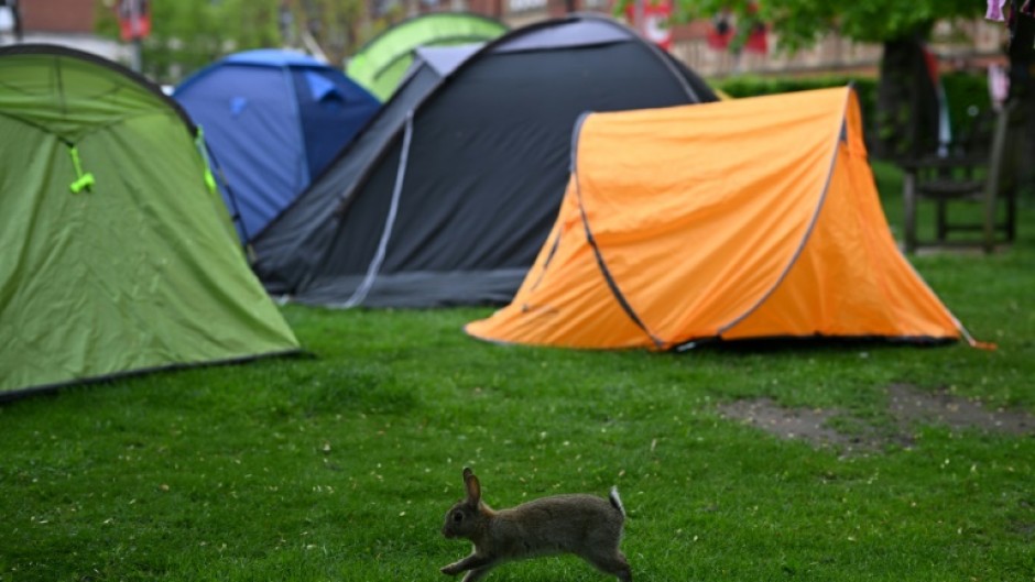 UK protests have also taken place at universities in Edinburgh, Newcastle, Leeds and Warwick