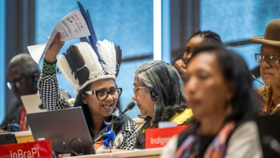 The treaty was agreed at the UN's WIPO agency