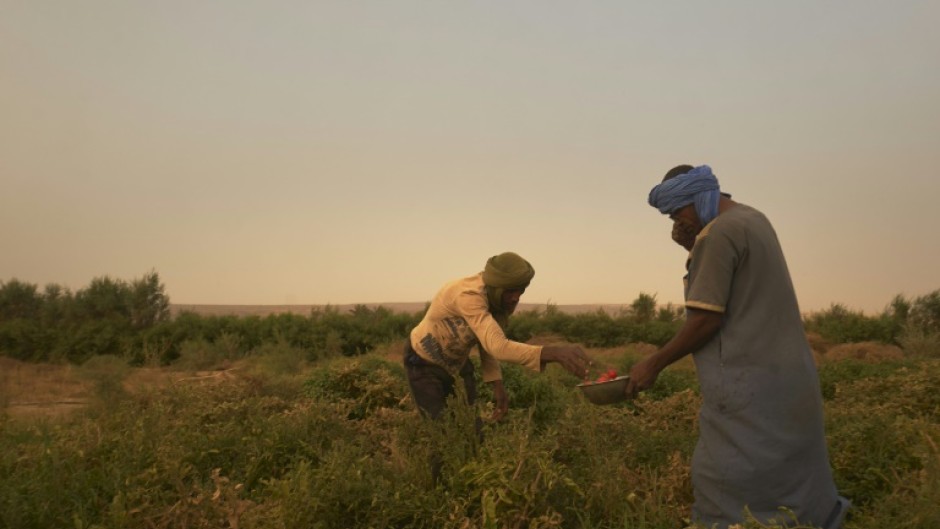 Maaden thrives on the values of equality, fraternity, tolerance and hard work