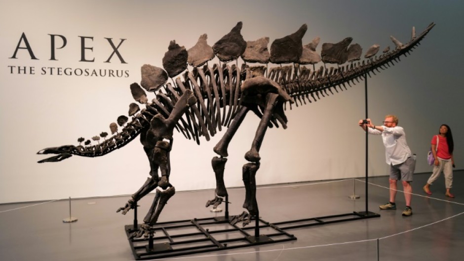 Paleontologists have criticized sales of dinosaur skeletons, saying these finds should be preserved in museums and not sold to private bidders