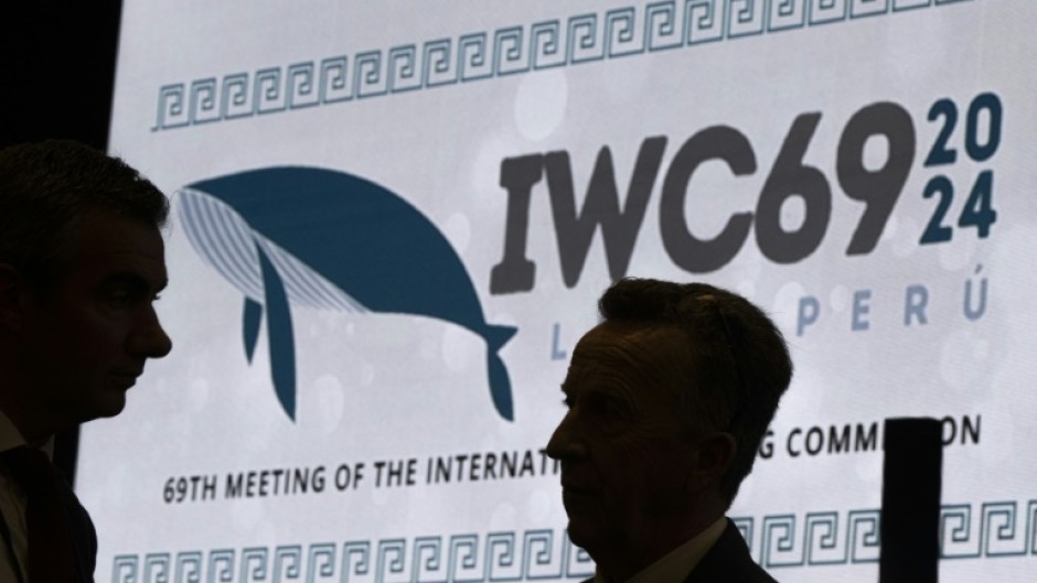 The International Whaling Commission was founded in 1946 to halt and reverse declining whale numbers 