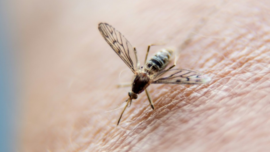Malaria causes more than 600,000 deaths from 250 million cases each year 