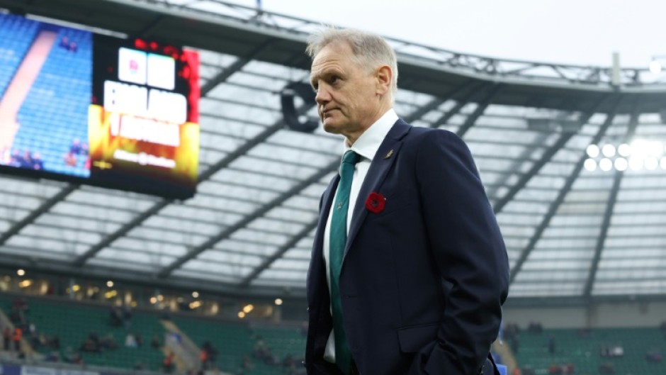 Joe Schmidt restored some pride with eyecatching wins on the northern hemisphere tour over England and Wales in November