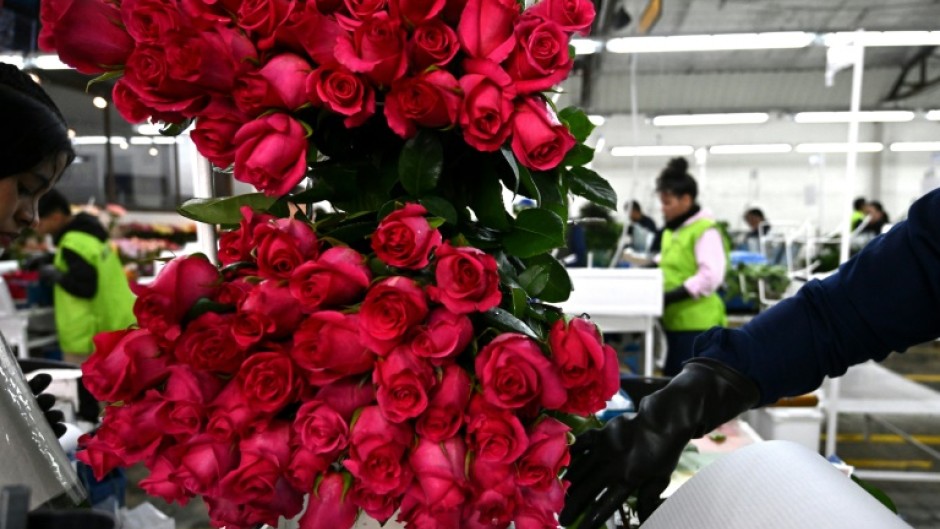 People are advised to be 'politely paranoid' when making potentially romantic connections with strangers online to avoid being scammed