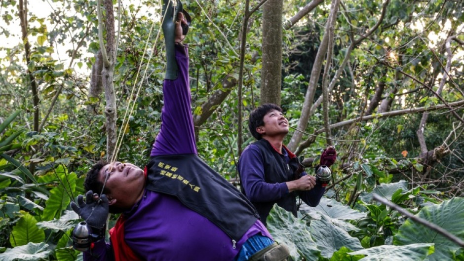 Hunter Wu Cheng-hua aims his slingshot at an iguana in a tree in Pingtung
