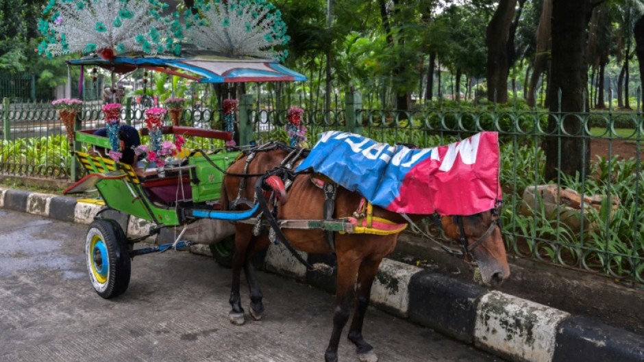Horses, still used to pull traditional wooden carriages in Jakarta, were once a staple of colonial-era transportation, but are now fading from view in Indonesia's capital
