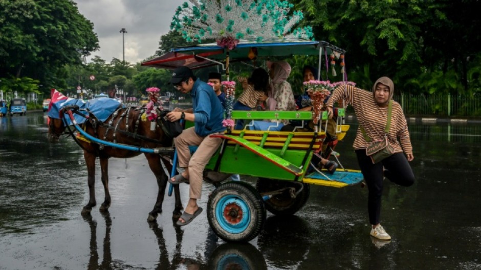 Local government has said it remained committed to animal welfare but needed more help