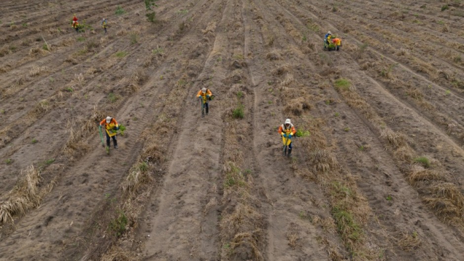 Conservation efforts can have  unintended consequences but experts say these are rarely considered or even properly understood