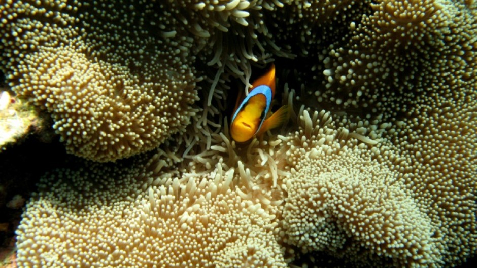 The ocean covers most of the Earth's surface but is far less explored and understood than most above-water parts of our planet