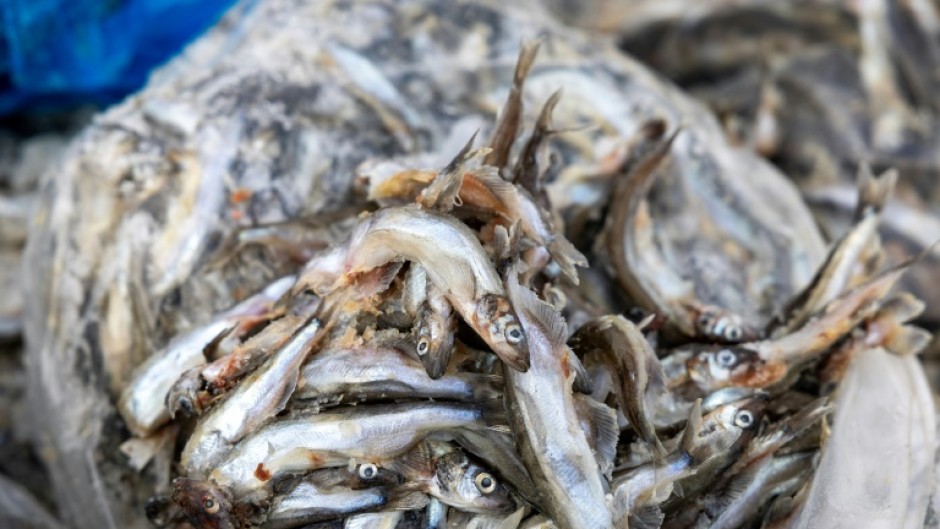 The ice-clad island depends on revenue from its fishing sector - and subsidies from Denmark