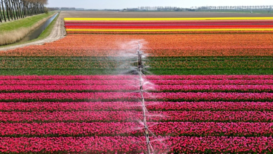 There are concerns about the amount of pesticides on flowers