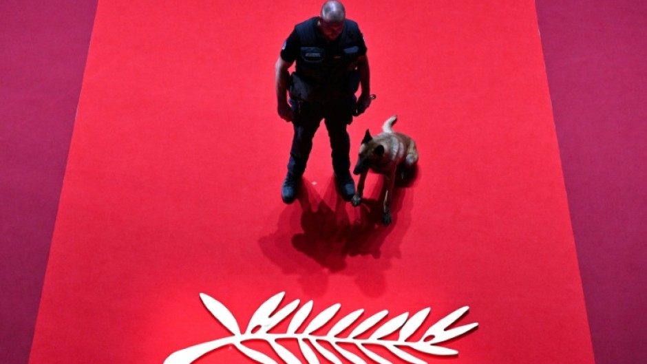 Cinemas are desperate for some Cannes stardust to excite filmgoers