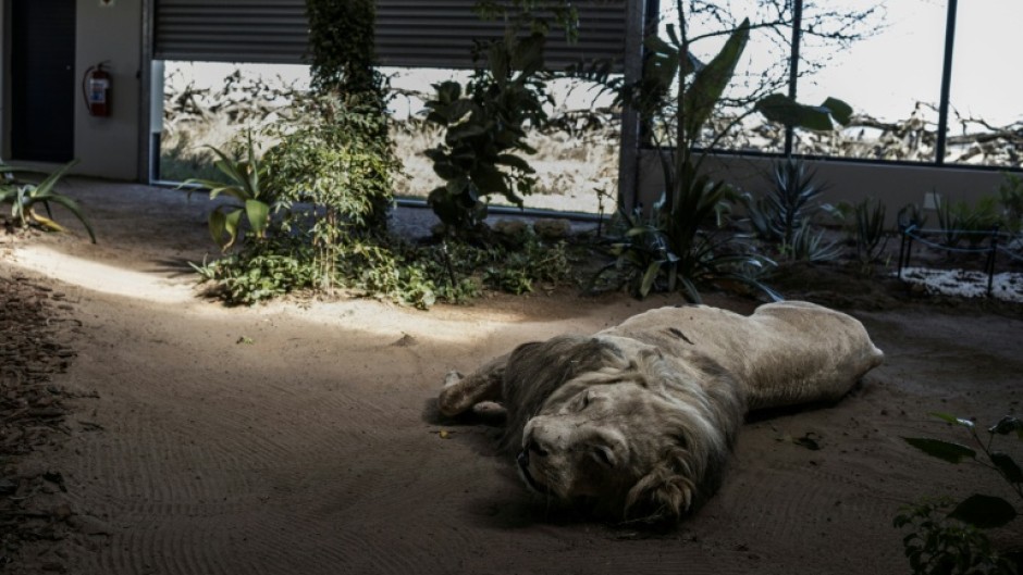 The school aims to curb poaching by teaching investigation skills to rangers, conservation officers and law enforcement