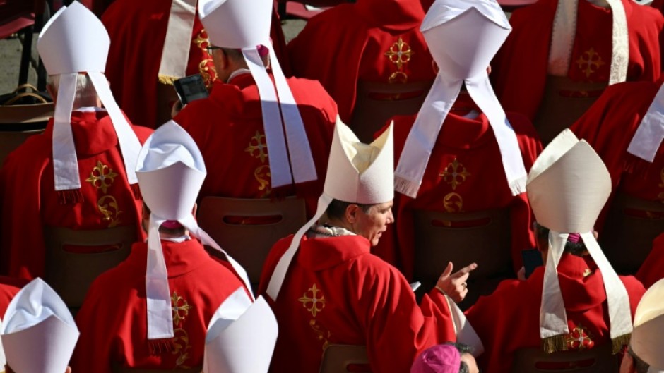 Cardinals from around the world attended the funeral of Pope Francis