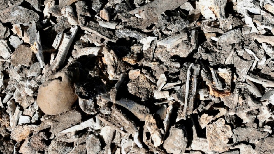 Human bones and clothing were discovered at a ranch in western Mexico in March