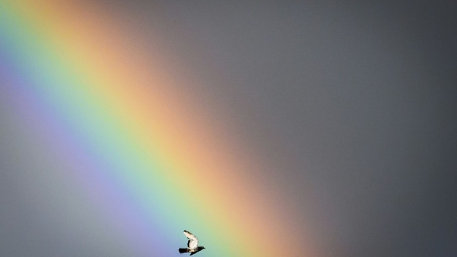 Environmental groups worry the idea could be brought low by the many scandals that have hit carbon credit markets