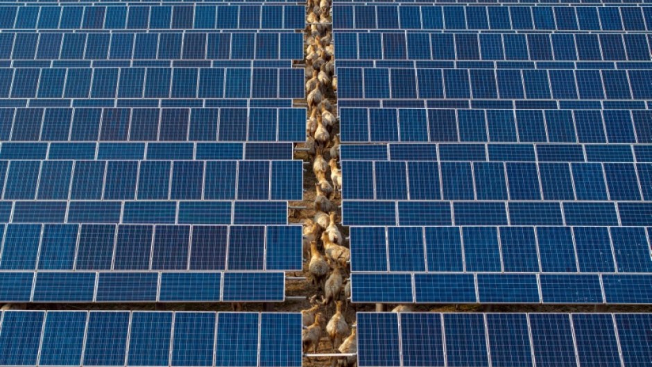 Renewable and nuclear energy are helping China lower emissions despite rising power demand