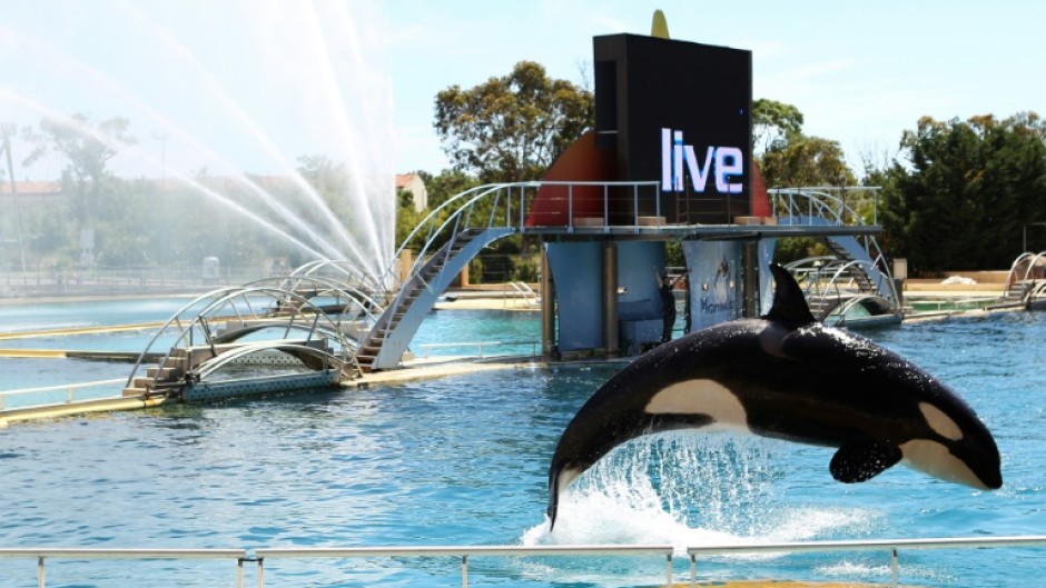 Happier days: Marineland in 2013