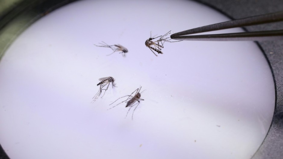 Mosquitoes have expanding ranges due to global warming