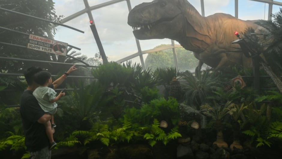 Visitors view animatronic and sculpted dinosaurs during a preview of 'Jurassic World: The Experience' at Cloud Forest, Gardens by the Bay in Singapore, May 26, 2025. The fascination with T-Rex continues as scientists identify a new, smaller ancestor of the iconic predator from 50-year-old fossils found in Mongolia.