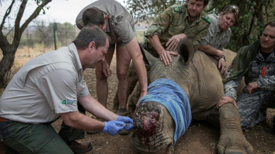 A recent study in South Africa showed dehorning rhinos reduced poaching by up to 78 percent