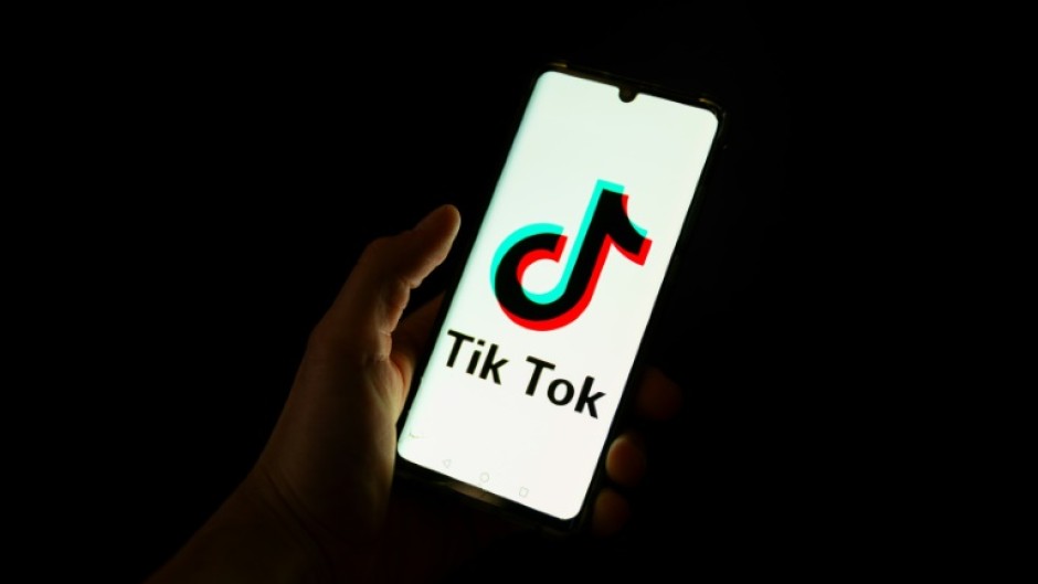 Several EU countries are worried about the dangers of social media, including TikTok, for children
